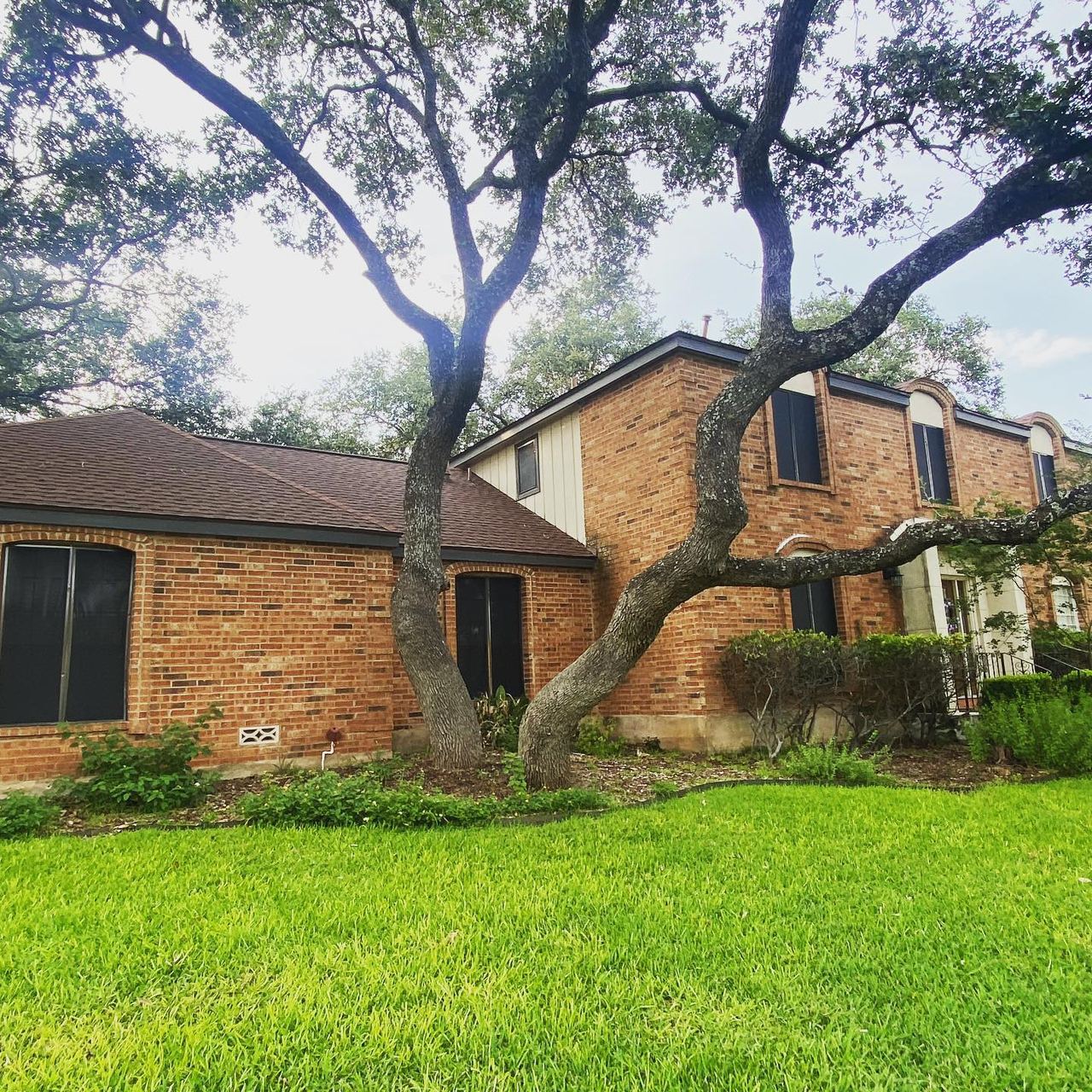 Brick San Antonio home shaded by live oaks, shown without solar screens